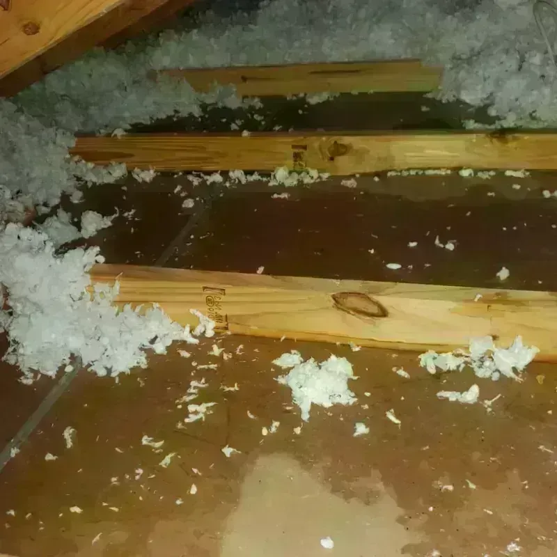 Attic Water Damage in Franklin County, WA