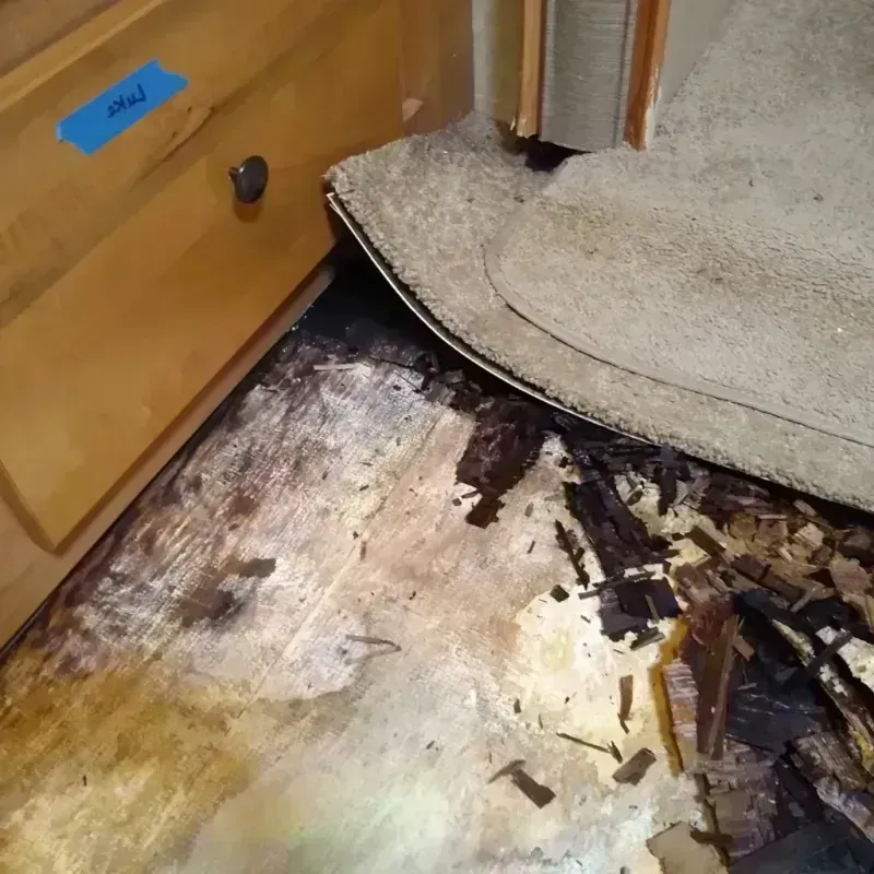 Wood Floor Water Damage in Franklin County, WA